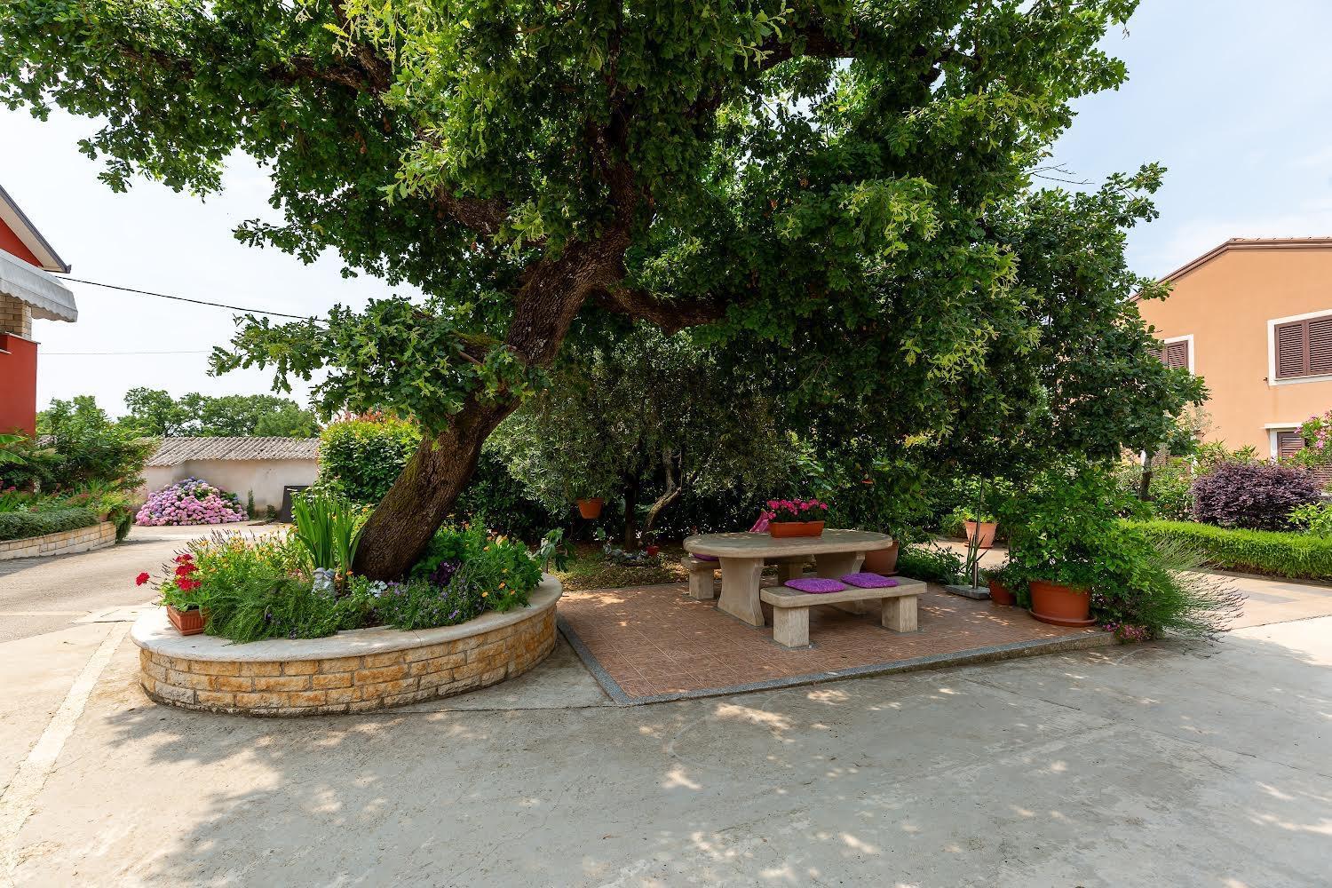 Apartman Angolo Verde Vižinada 外观 照片